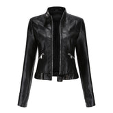 Veste Intemporelle Femme