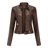 Veste Intemporelle Femme