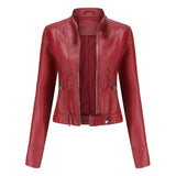 Veste Intemporelle Femme