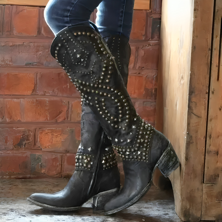 Bottes hautes femme bout pointu talon bloc - Noir