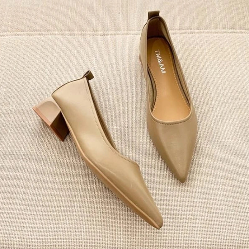 Escarpins Femme Cuir Souple Bout Pointu Talon Bloc