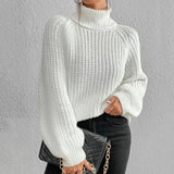 Pull col roulé femme manches longues ample