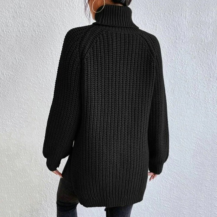 Pull col roulé femme manches longues ample