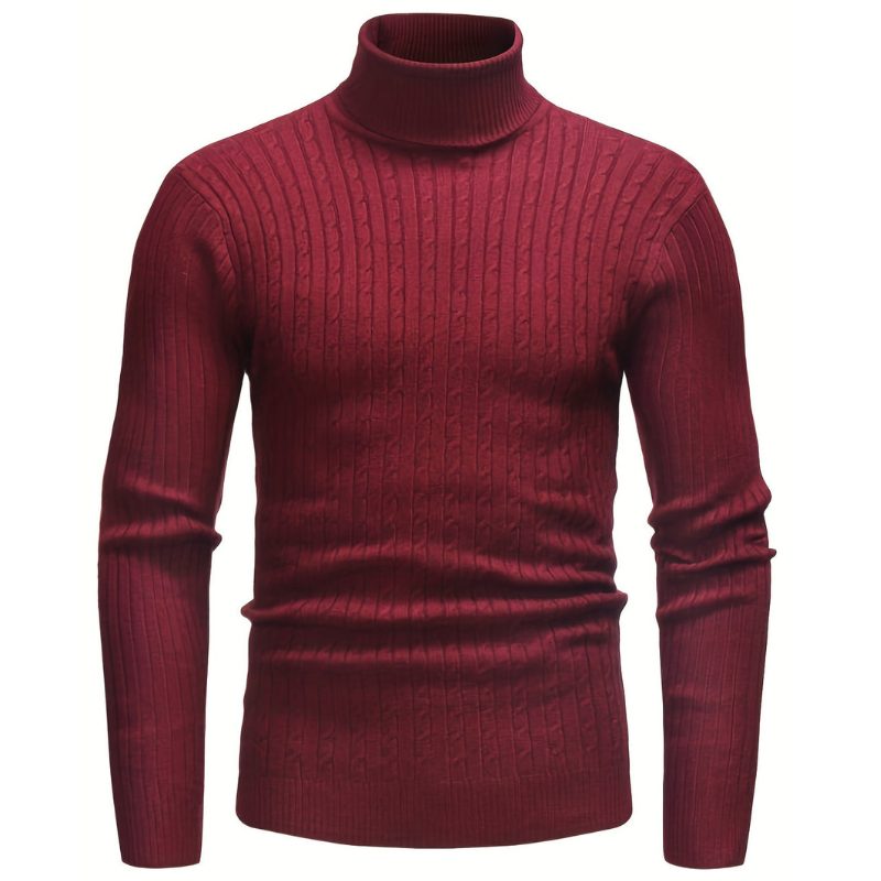 Elias - Pull Col Roulé Torsadé